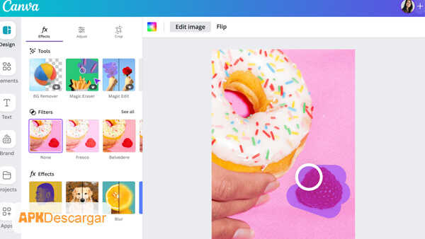 Canva Pro 1
