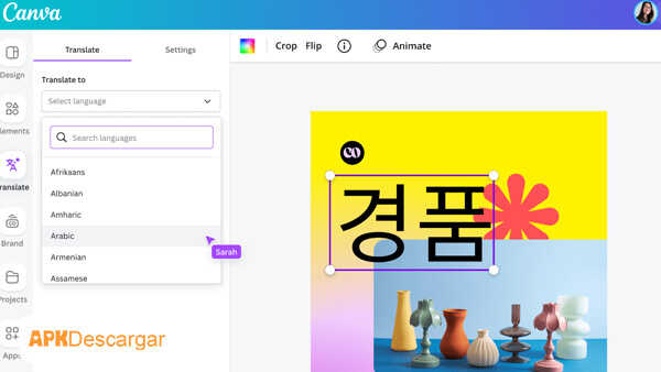 Canva Pro 4
